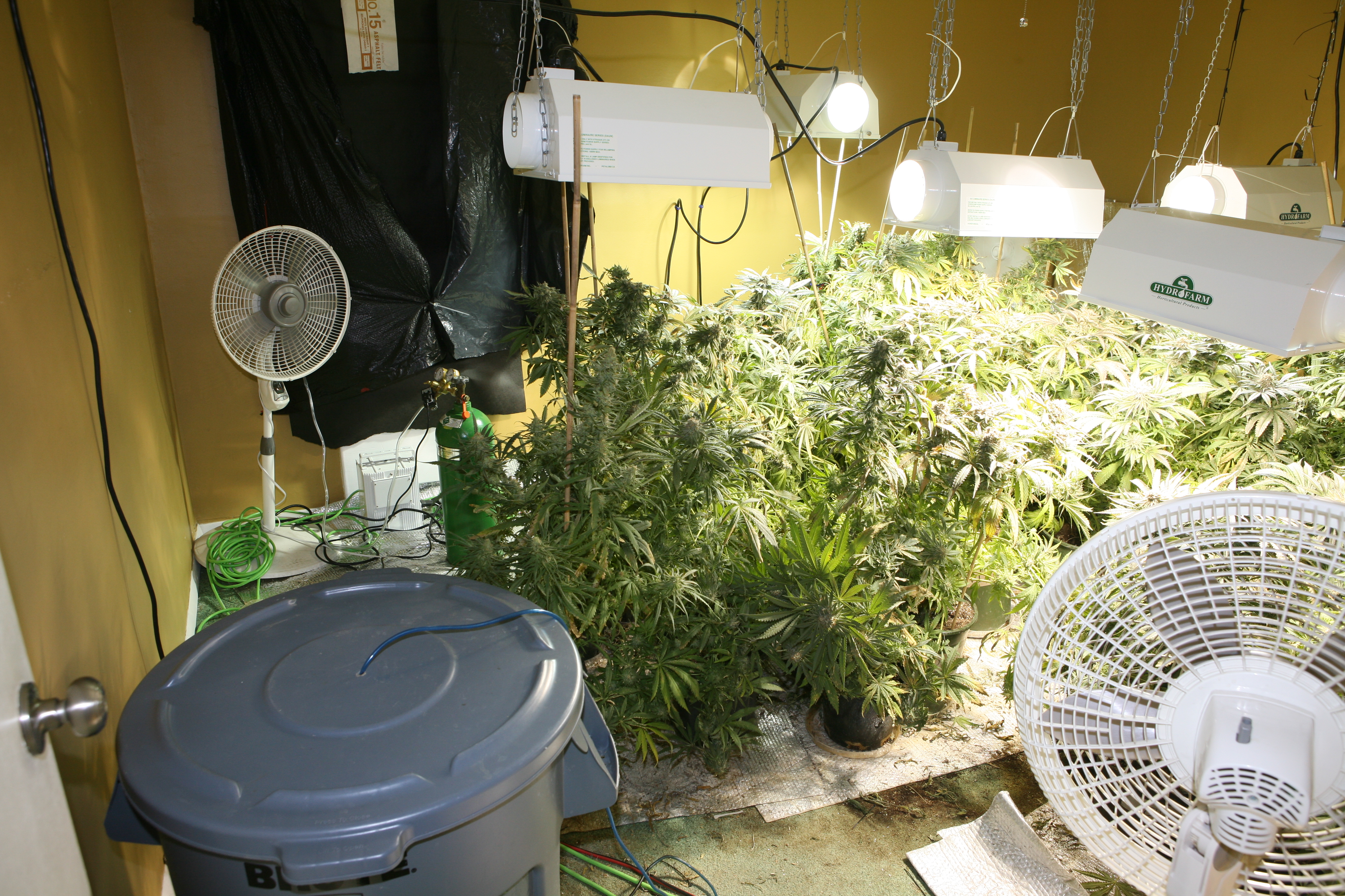 pot