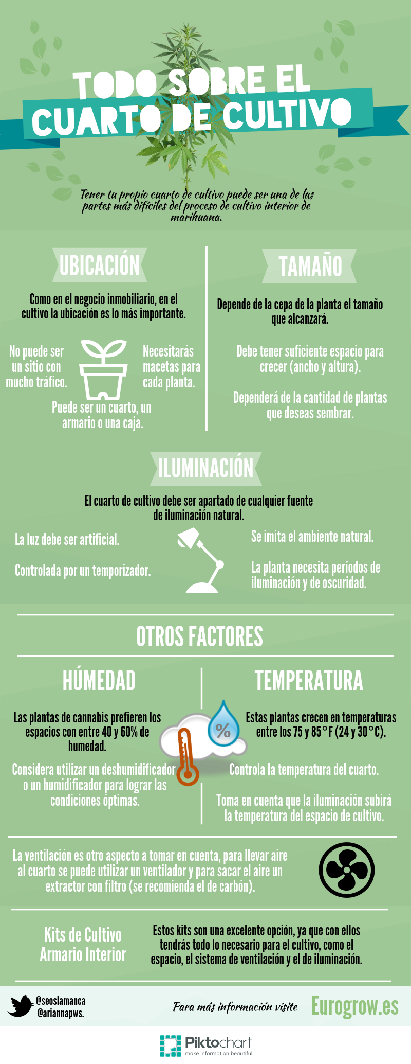 infografía cuarto cultivo