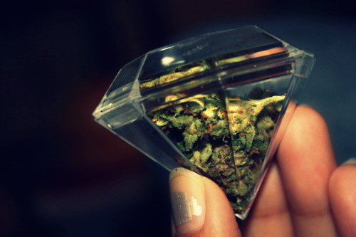 datos curiosos marihuana